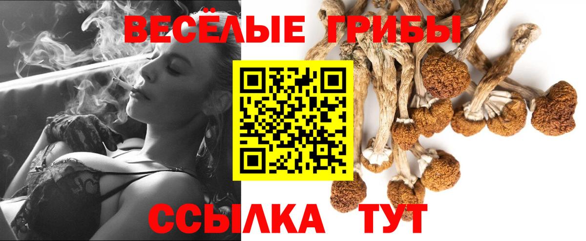 Псилоцибиновые грибы MAGIC MUSHROOMS Нововоронеж
